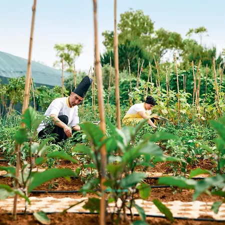 Tui Magic Life Jacaranda 호텔 시데