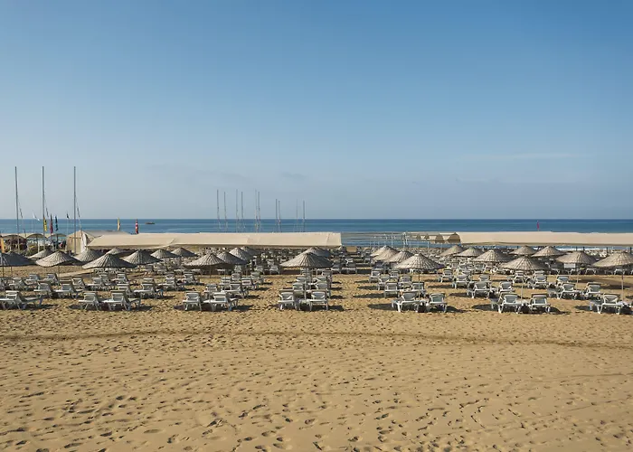 Tui Magic Life Jacaranda 5* Σιντέ