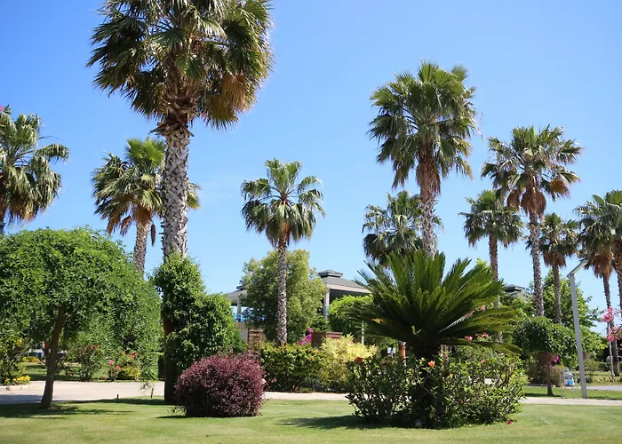 Ξενοδοχείο Tui Magic Life Jacaranda Σιντέ