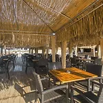 Tui Magic Life Jacaranda 5* シダ