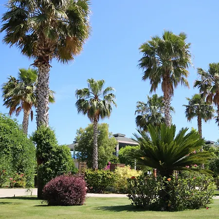 Szálloda Tui Magic Life Jacaranda Side