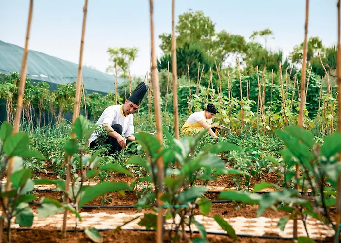 Tui Magic Life Jacaranda Hotel Side